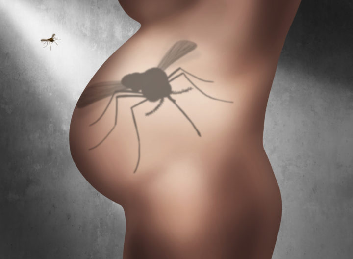 Se puede usar repelente de mosquitos durante el embarazo