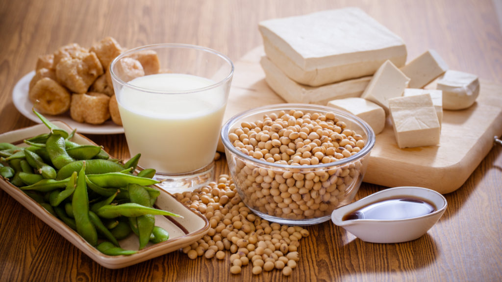 tipos de proteína vegetal