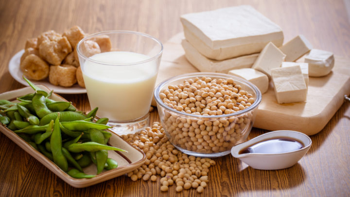 tipos de proteína vegetal