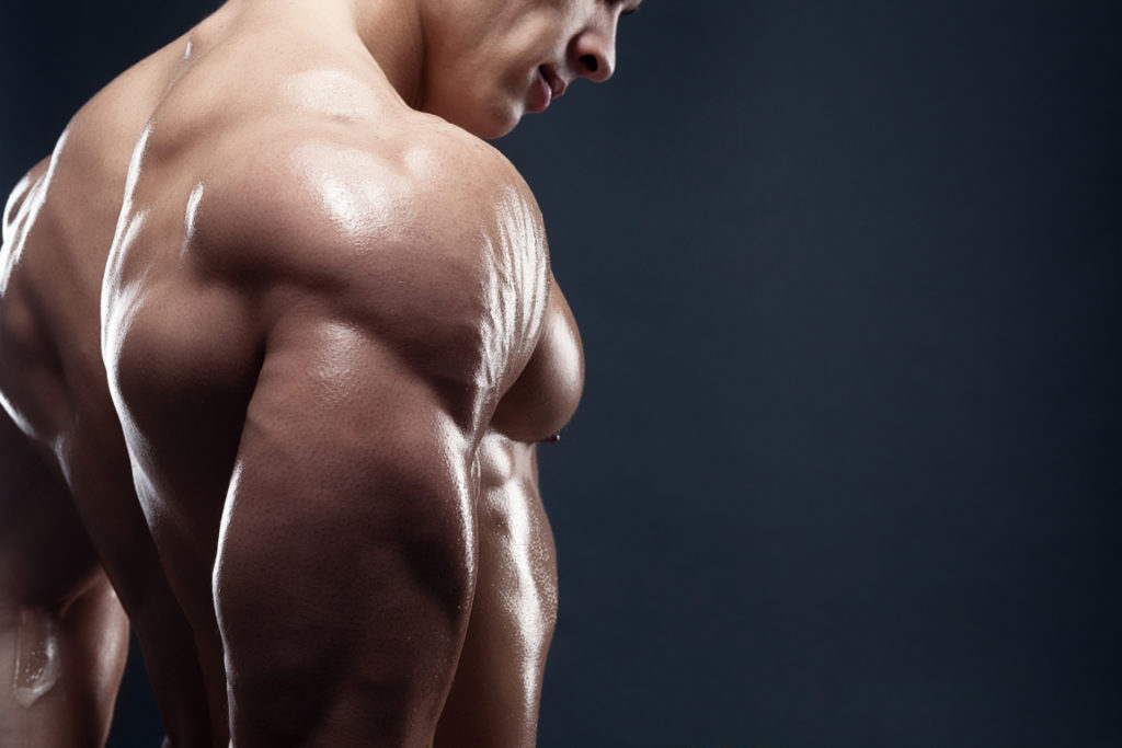 Cómo tomar proteínas para ganar músculo