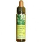 Oak Plantis N&ordm; 22 10 ml