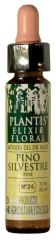 Pine Plantis N&ordm; 24 10 ml