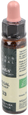 Walnut Plantis N&ordm; 33 10 ml