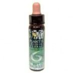 Artesania Agr&iacute;cola Plantis N 6 Self-esteem 10 ml