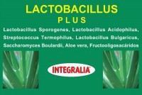 Integralia Lactobacillus Plus 60 C&aacute;psulas