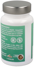 Harpagofito Microgranulos 45 C&aacute;psulas