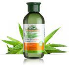 Champú Hidratante Ecocert con Áloe Vera - 300 mililitros Champú Hidratante Ecocert con Áloe Vera - 300 mililitros