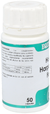 Holofit Harpagophytum Forte 50 C&aacute;psulas