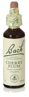 Original Flower Essences Bach 6 Ceras&iacute;fera 20 ml