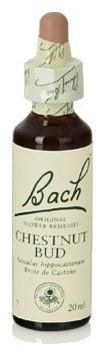 Original Flower Essences Bach 7 Brote de Casta&ntilde;o 20 ml