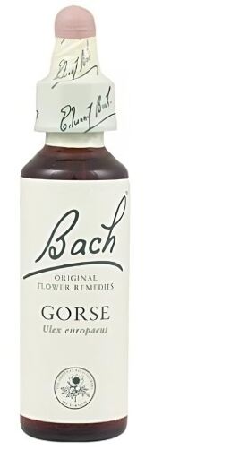 Original Flower Essences Bach 13 Aulaga 20 ml