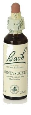 Original Flower Essences Bach 16 Madreselva 20 ml