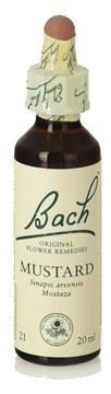 Original Flower Essences Bach 21 Mostaza 20 ml