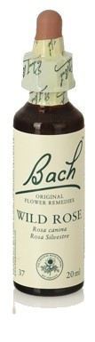 Original Flower Essences Bach 20 Rosa Silvestre o Escaramujo 20 ml