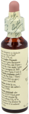 Bach 38 Sauce 20 ml