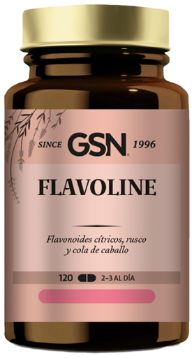 GSN Flavoline 120 Comprimidos. 555 mg.