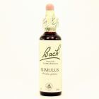 Bach 20 M&iacute;mulo 20 ml