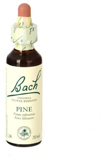Original Flower Essences Bach 24 Pino 20 ml