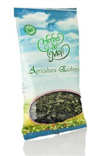 Herbes del Mol&iacute; Diente Le&oacute;n Planta Eco