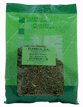Plameca Arenaria Planta Triturado