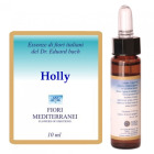 Fm 15 Holly 10 ml