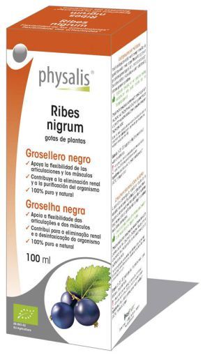 Physalis Ribes nigrum extract Bio 100Ml