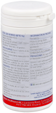 Ginkgo Biloba Extra Alta Potencia 6.000 mg