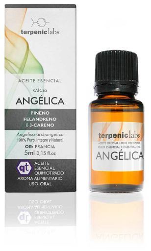Terpenic Lab Aceite Esencial Angelica 5 ml