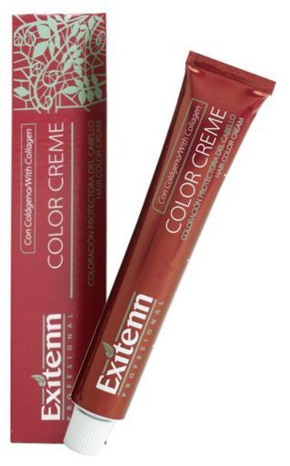 Exitenn Professional Color Creme 573