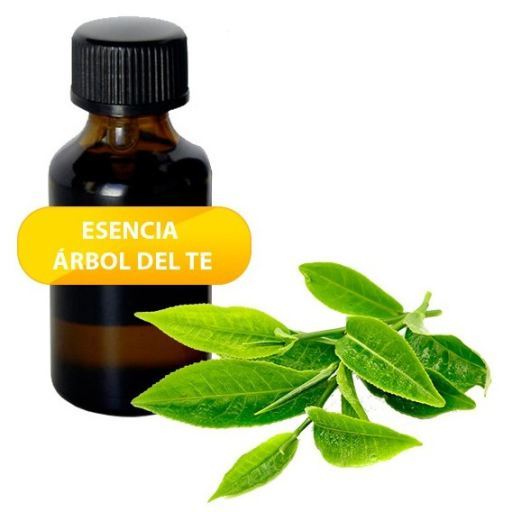 Herbi Feet Aceite Esencial &Aacute;rbol de T&eacute; 100 ml