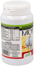 Micotherapy Glico 90 C&aacute;psulas