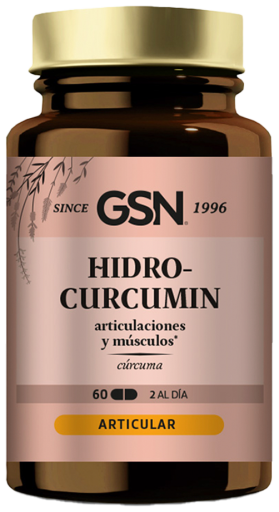 GSN Hidro curcumin 60 Comp