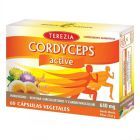 Cordyceps Active 60 Cápsulas Cordyceps Active 60 Cápsulas