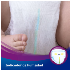 Activity Extra Pa&ntilde;ales Talla 4 con 52 Uds