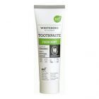 Dent&iacute;frico Menta Fresca 75 ml