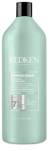 Redken Amino Mint Champ&uacute; para Cuero Cabelludo Graso