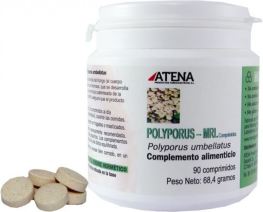 Atena Polyporus Mrl 500 mgr 90 Comprimidos