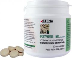 Polyporus Mrl 500 mgr 90 Comprimidos