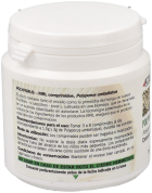 Polyporus Mrl 500 mgr 90 Comprimidos