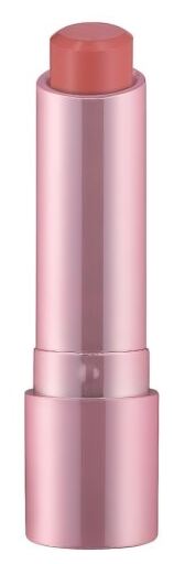 Perfect Shine Barra de Labios 3,5 gr