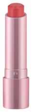 Perfect Shine Barra de Labios 3,5 gr