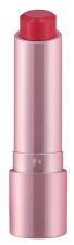Perfect Shine Barra de Labios 3,5 gr