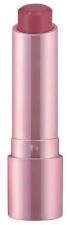 Perfect Shine Barra de Labios 3,5 gr