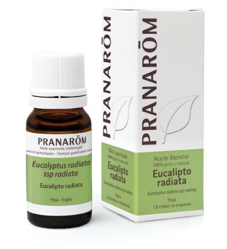 Pranarom Eucalyptus Radiata Essential Oil