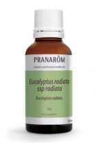 Aceite Esencial Eucalipto Radiata Aceite Esencial Eucalipto Radiata