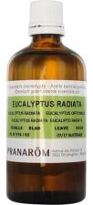 Aceite Esencial Eucalipto Radiata Aceite Esencial Eucalipto Radiata