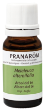 Aceite Esencial &Aacute;rbol del T&eacute;