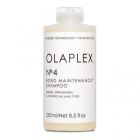 N&ordm;.4 Bond Maintenance Champ&uacute;