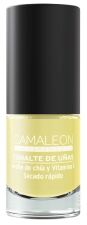 Esmalte de U&ntilde;as 6 ml