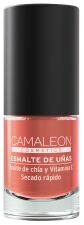 Esmalte de U&ntilde;as 6 ml